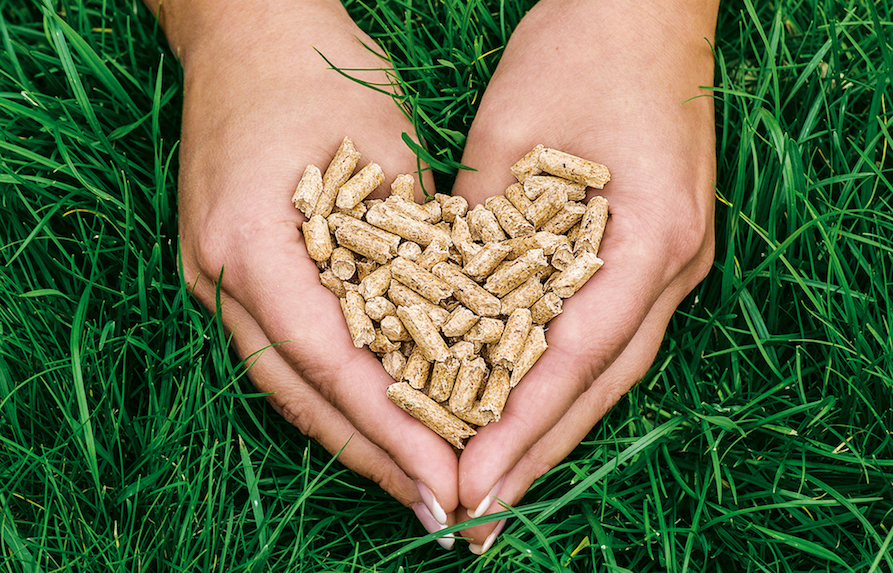 Holzpellets