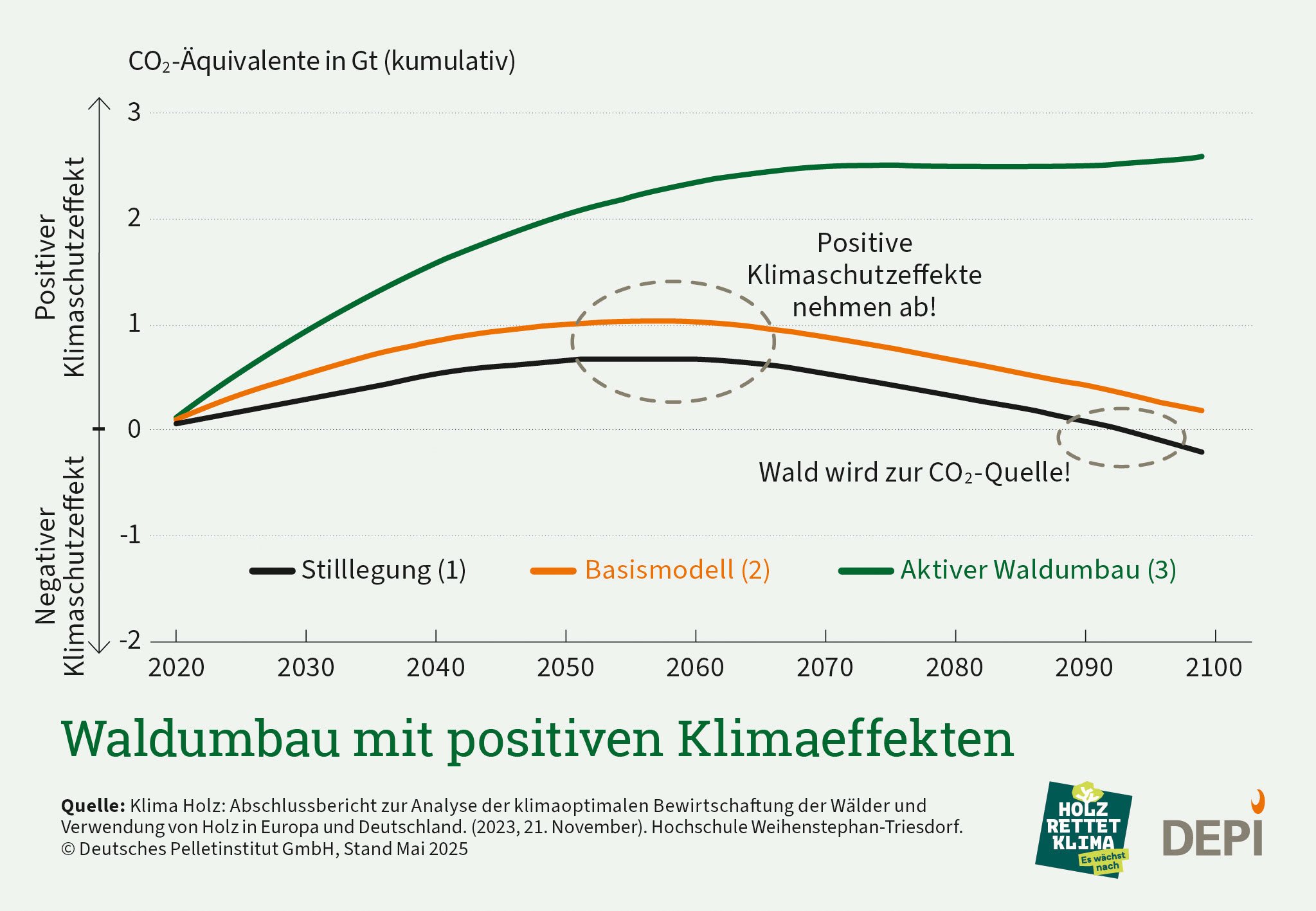 Zu sehen ist eine Grafik, die die Effekte unterschiedlicher Strategien für den Waldumbau zeigt, Eine Waldstilllegung würde den Wald irgendwann zur CO2-Quelle machen. Bei aktivem Waldumbau würden die positiven Klimaschutzeffekte immer weiter steigen.