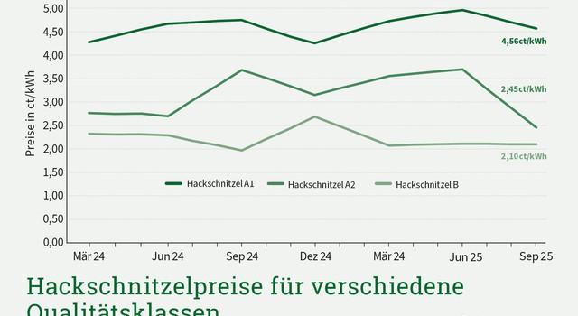 https://depi-prd.s3.amazonaws.com/filer_public_thumbnails/filer_public/12/b2/12b2da96-65bb-4e5f-8349-ee7666ccdf1a/depi_preisvergleich_hackschnitzelqualitaetsklassen_3q-2025.jpg__640x350_q90_crop-smart_subject_location-945%2C657_subsampling-2.jpg