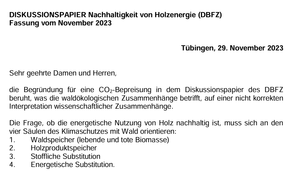 Ein Ausschnitt von einem Diskussionspapier über die Nachhaltigkeit von Holzenergie vom 29. November 2023.