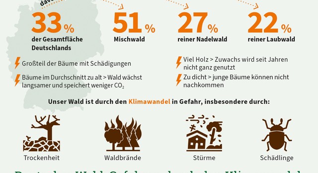 https://depi-prd.s3.amazonaws.com/filer_public_thumbnails/filer_public/99/11/99114c84-15b4-42b9-9aa0-77b7cf88f1c8/depi_deutscherwald-gefahrendurchdenklimawandel.jpg__640x350_q90_crop-smart_subject_location-945%2C729_subsampling-2.jpg