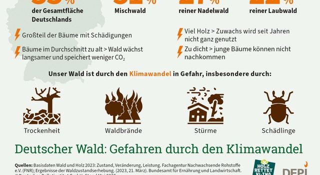 https://depi-prd.s3.amazonaws.com/filer_public_thumbnails/filer_public/99/11/99114c84-15b4-42b9-9aa0-77b7cf88f1c8/depi_deutscherwald-gefahrendurchdenklimawandel.jpg__640x350_q90_crop-smart_subsampling-2.jpg