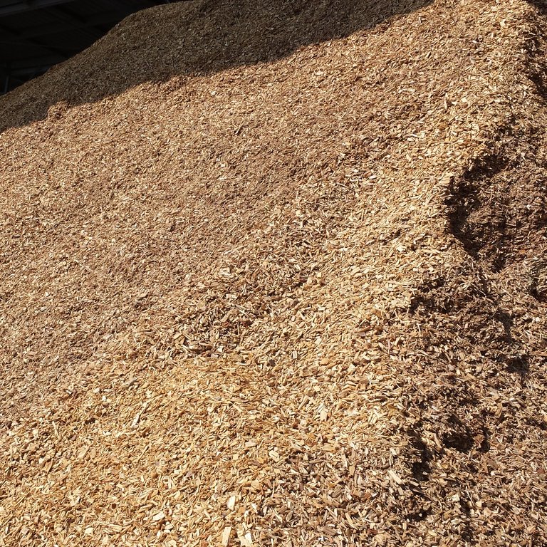 Sicherheit gewährleisten: Brandschutz im Hackschnitzellager